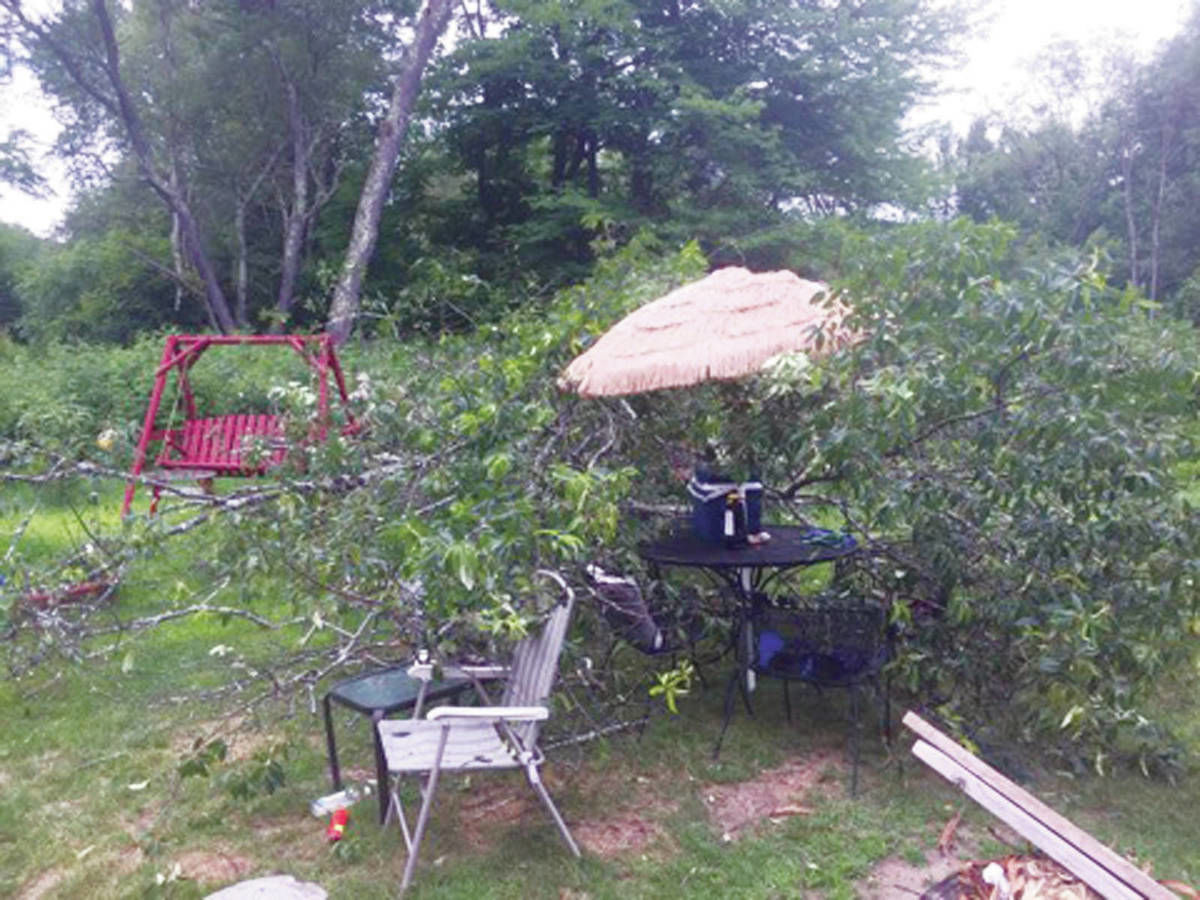 Close Call For Franconia Pair Who Avoid Falling Tree